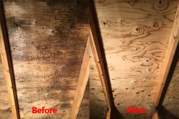 water damage restoration service Leland